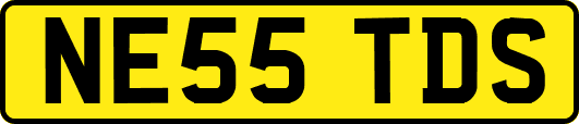NE55TDS