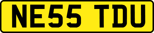 NE55TDU