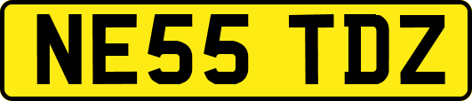 NE55TDZ