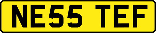 NE55TEF