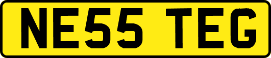 NE55TEG