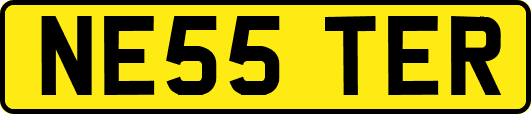 NE55TER