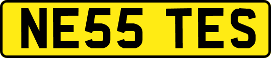 NE55TES