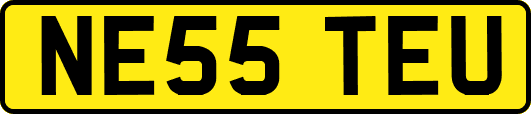 NE55TEU