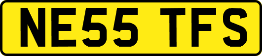 NE55TFS