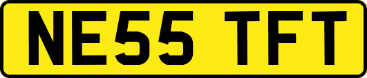 NE55TFT