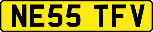 NE55TFV