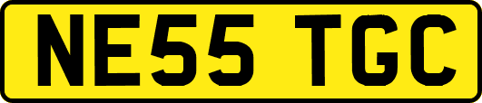 NE55TGC