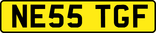 NE55TGF