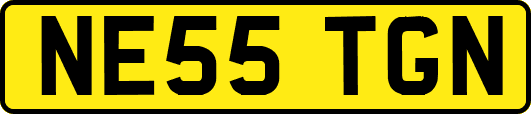 NE55TGN