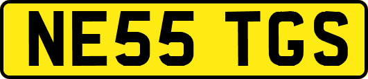 NE55TGS