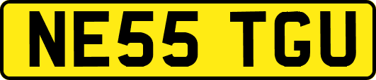 NE55TGU
