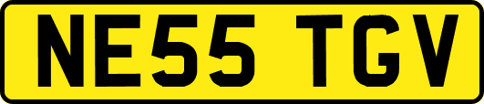 NE55TGV