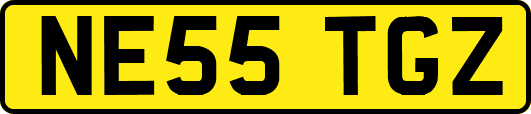 NE55TGZ
