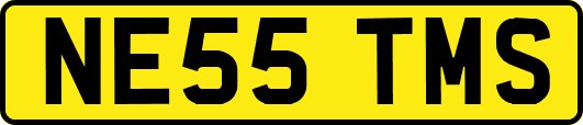 NE55TMS