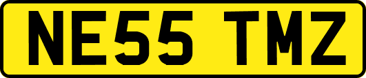NE55TMZ