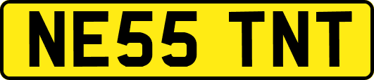 NE55TNT
