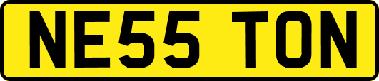 NE55TON