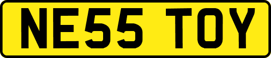 NE55TOY