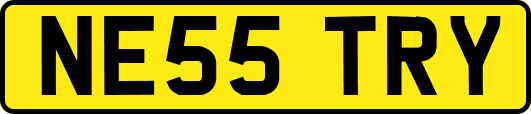 NE55TRY