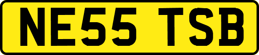 NE55TSB