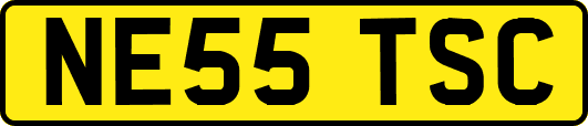 NE55TSC
