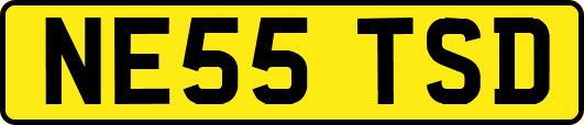 NE55TSD