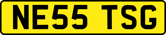 NE55TSG