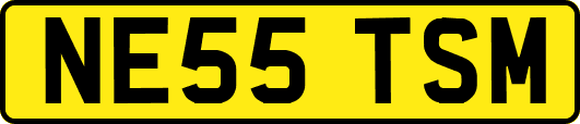 NE55TSM