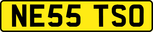 NE55TSO