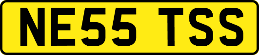 NE55TSS
