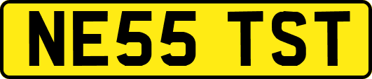 NE55TST