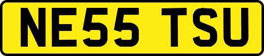 NE55TSU