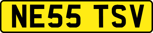 NE55TSV
