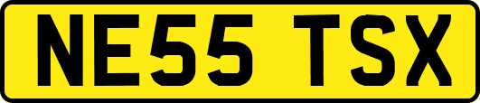 NE55TSX