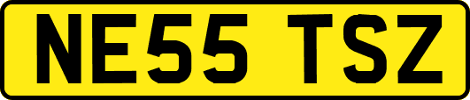 NE55TSZ