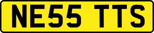 NE55TTS