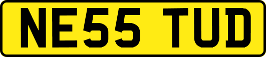 NE55TUD