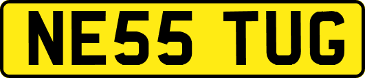 NE55TUG