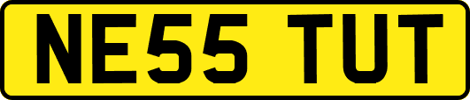 NE55TUT
