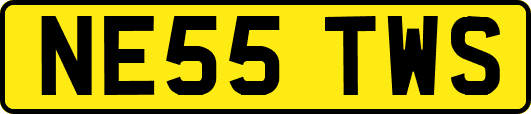 NE55TWS