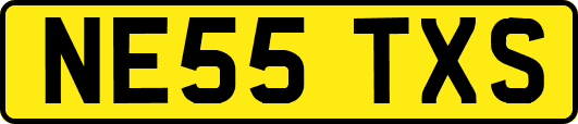 NE55TXS
