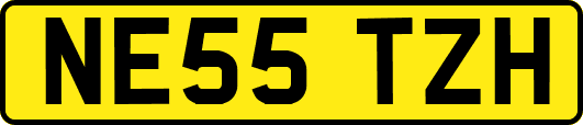 NE55TZH