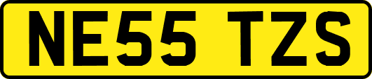 NE55TZS
