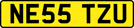 NE55TZU