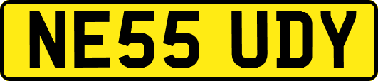 NE55UDY