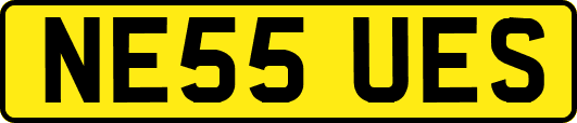 NE55UES