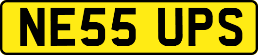 NE55UPS