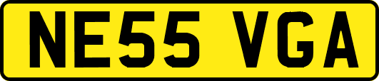NE55VGA