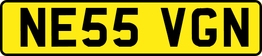 NE55VGN